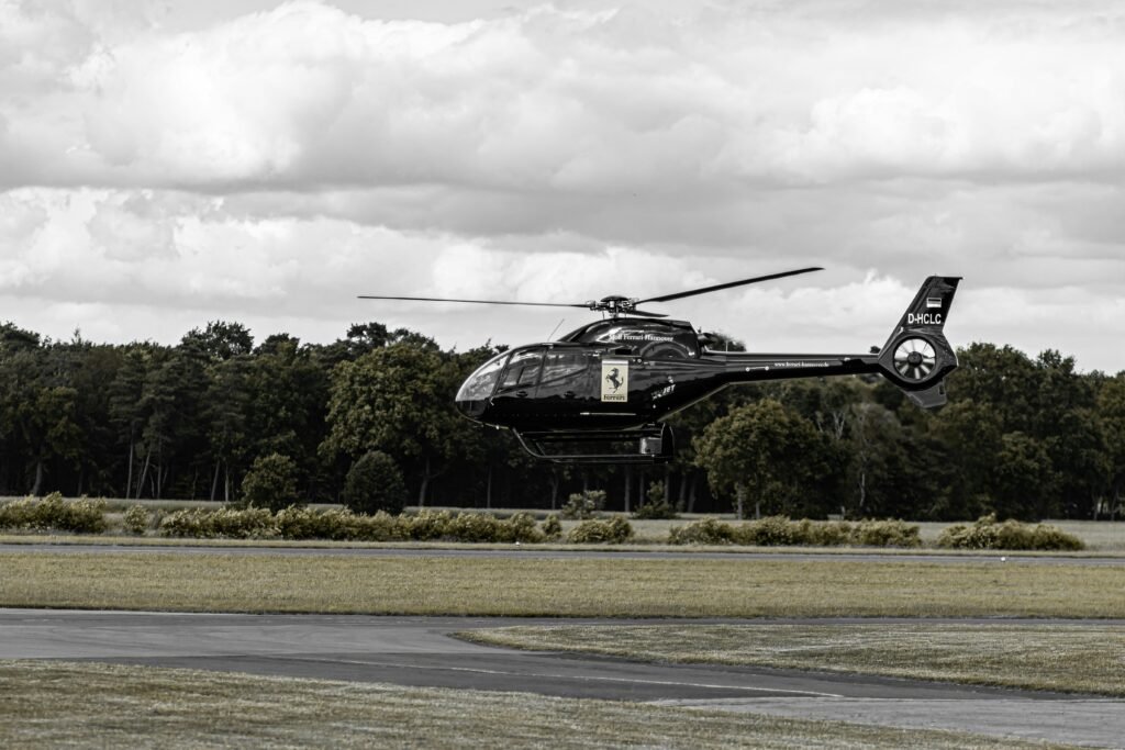 Top 5 Helicopter Adventures for Wildlife Lovers