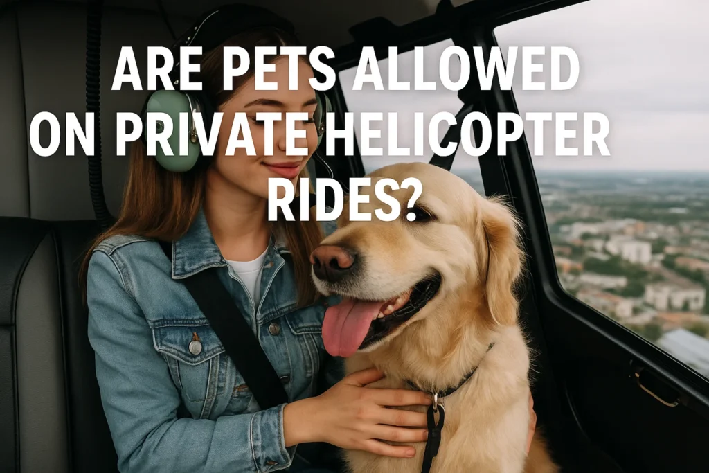 Can You Take Pets on a Private Helicopter Ride?
